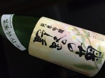野路の菊 野路の菊