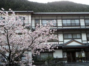 丸井旅館 外観 丸井旅館 外観
